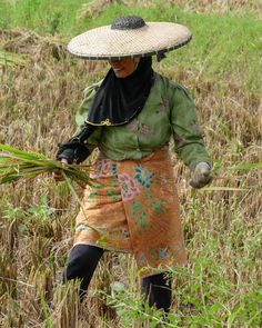 A farmer on the island of Java Indonesia covers up from the burning sun during rice harvest with beautiful fabrics and a marvelous straw hat. Photo from my book #VanishingAsia #java #indonesia Image Shows, Farmer, Harvest, Asia, Cover Up, Rice, Fabrics, Island, Book