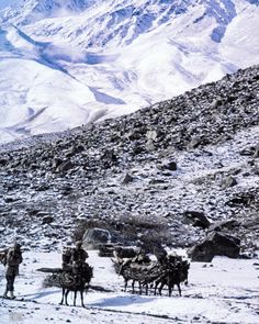 Shepherds gather firewood on a high pass near Balti region Pakistan near K2. Photo from my book #VanishingAsia #Pakistan K2, Image Shows, 40 Years, Firewood, Mount Everest, Pakistan, Asia, Scene, Mountains