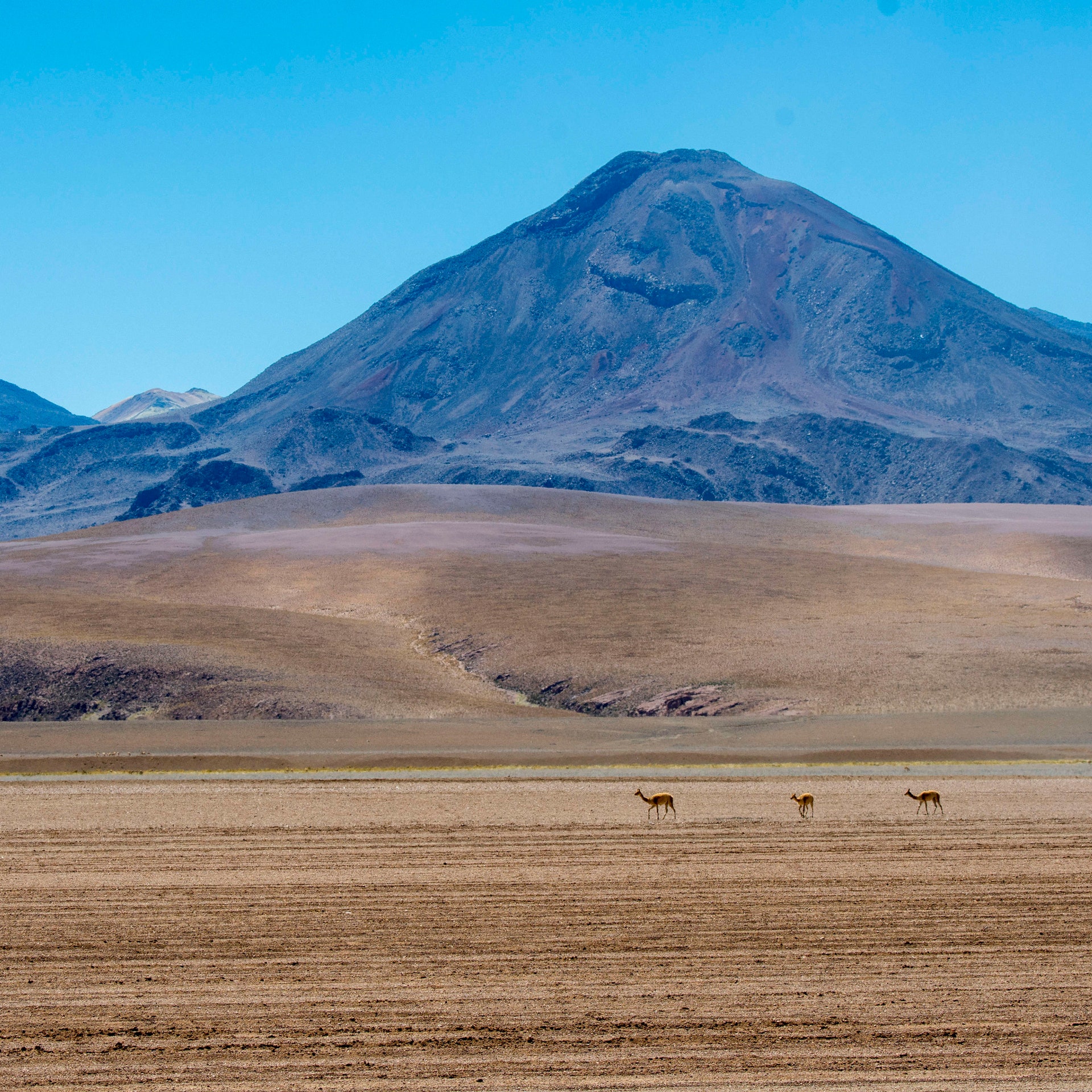 Atacama