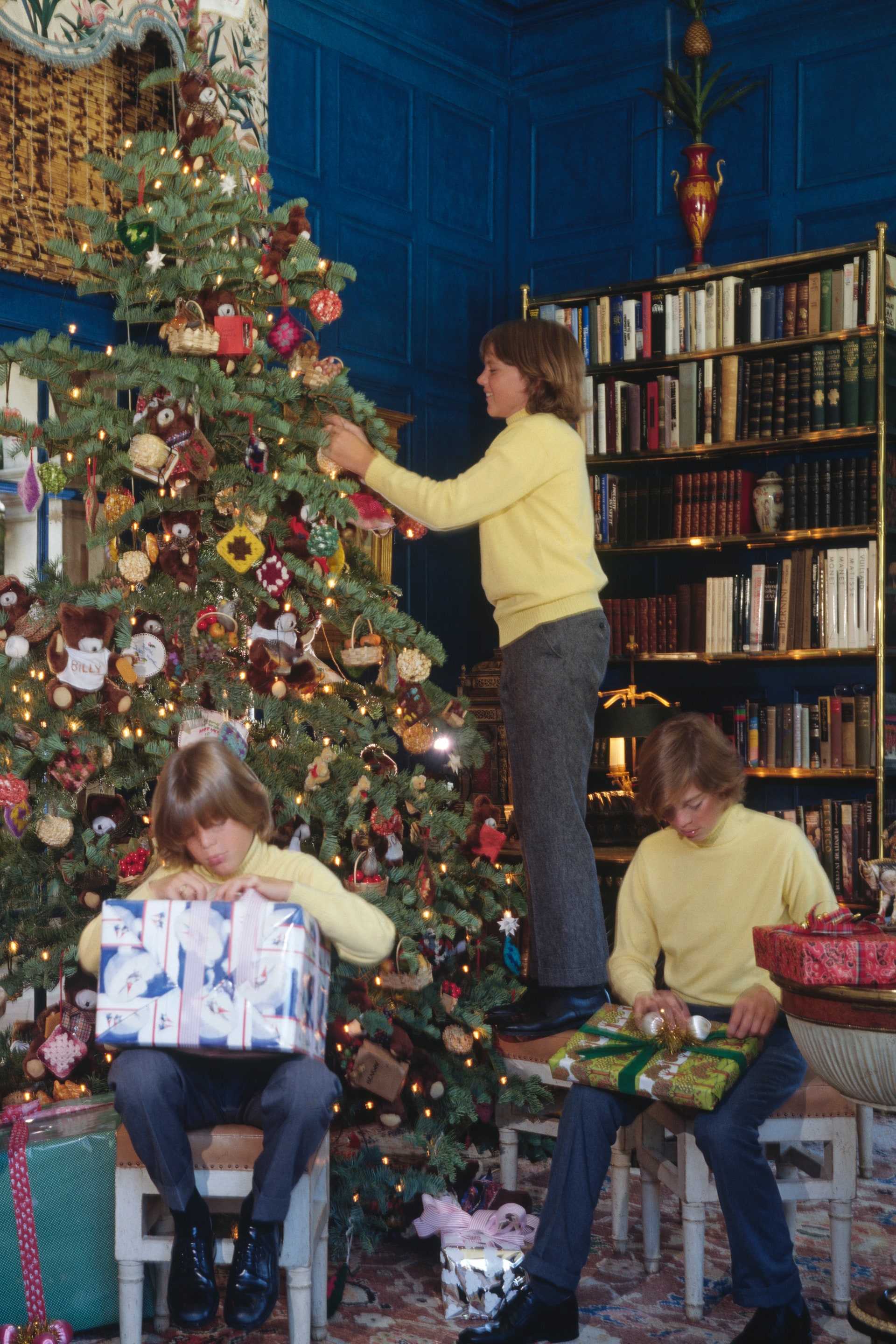 Image may contain Ornament Tree Plant Christmas Tree Human Person Furniture Lamp Shelf Table Lamp and Bookcase