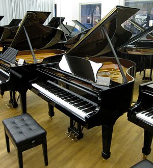 Steinway Vienna 011.JPG