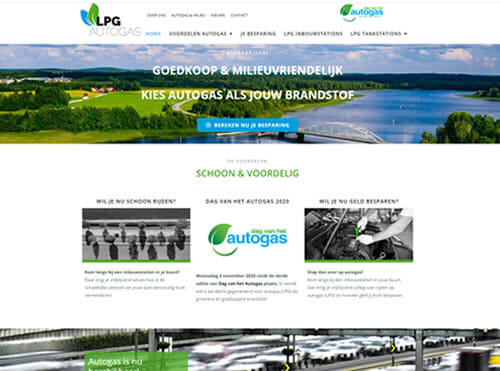 WP website met maatwerk thema, plugin en API