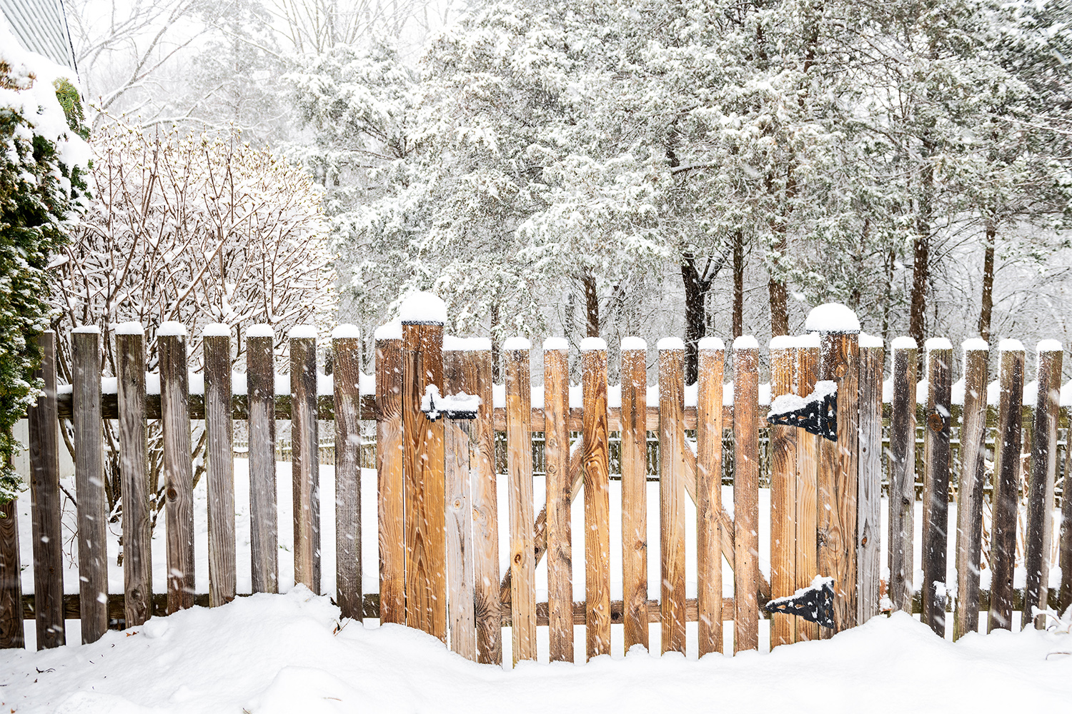 Wooden fence in snowfall