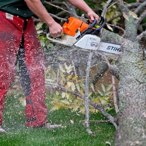 man sawing tree