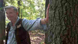 E.O. Wilson, famed entomologist and pioneer in the field of sociobiology, dies at 92