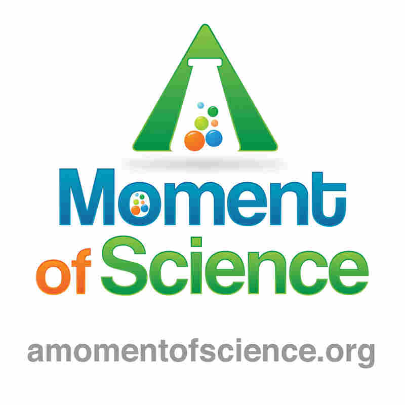 WFIU: A Moment of Science