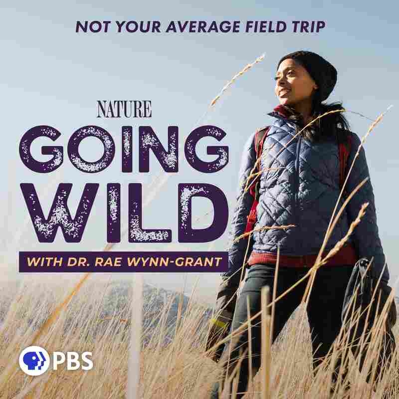 Going Wild with Dr. Rae Wynn-Grant