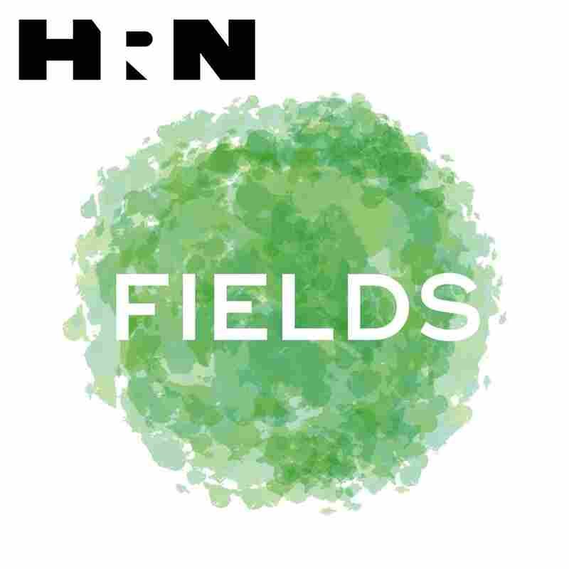 Fields