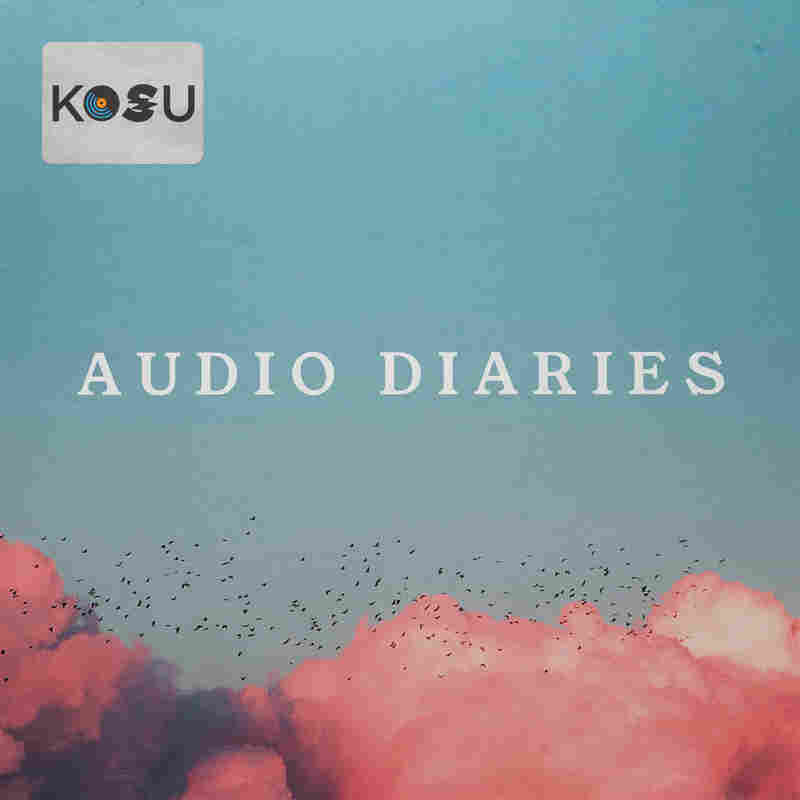 Audio Diaries