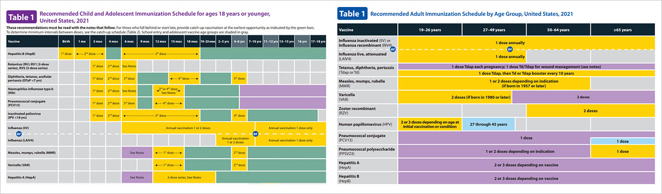 Childhood & Adult Immunization Schedules