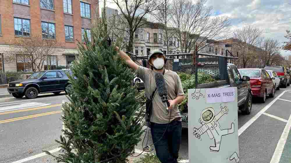 Planet Money producer Nick Fountain with a Christmas tree in Brooklyn, NY. 