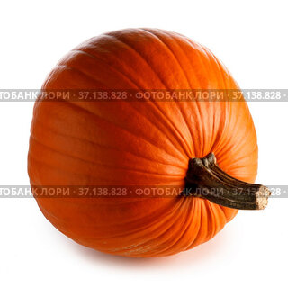 One perfect pumpkin isolated on white background