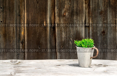 Rustic wooden table and wall with green plant on sunny day at a rural...