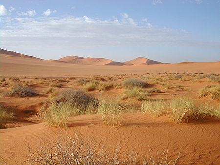 Anialwch y Sahara