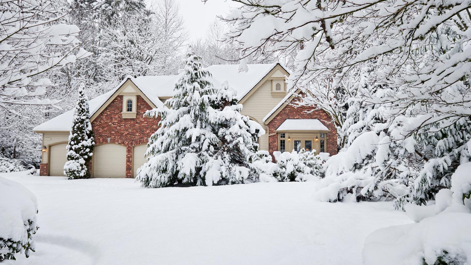 A beautiful house and its garden all covered in snow