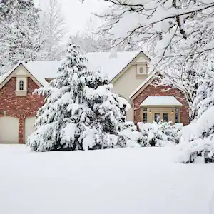 A beautiful house and its garden all covered in snow