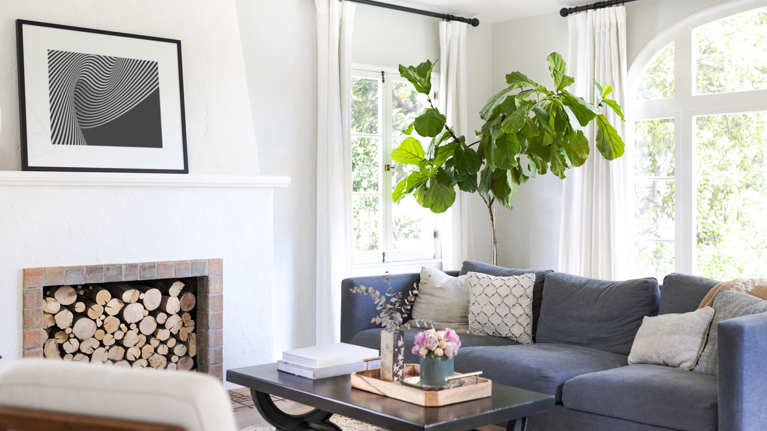 A bright living room with a big plant on the corner