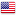 US Flag