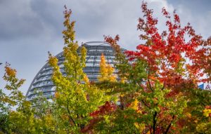 Rot-gelb-grün sind die Ahornblätter an den Bäumen vor dem Deutschen Bundestag gefärbt.