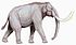 Mammuthus trogontherii122DB.jpg