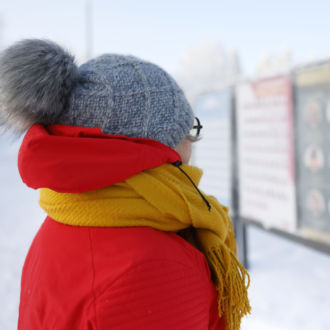 A woman in winter clothing looks at a row of election posters.