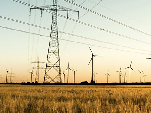 Powerlines in a field