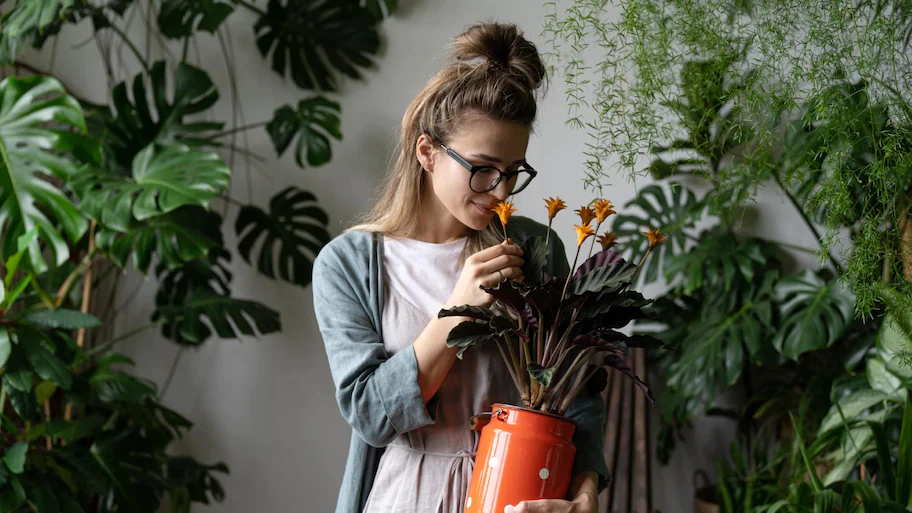 A woman holding a plant