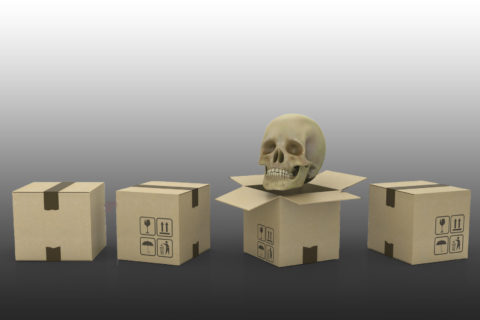 skull and moving boxes