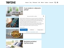 Topzine