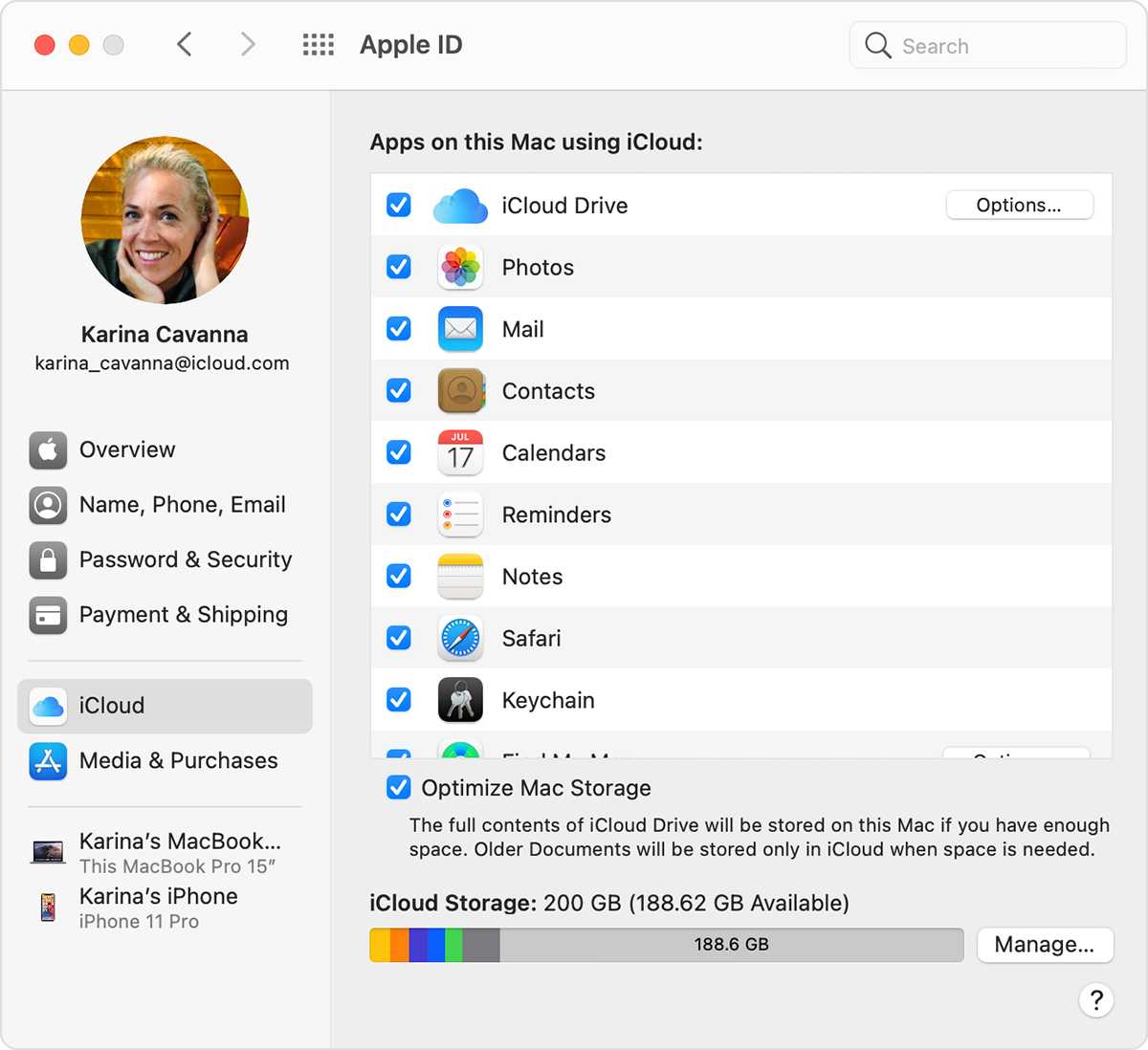 iCloud on Mac Setup