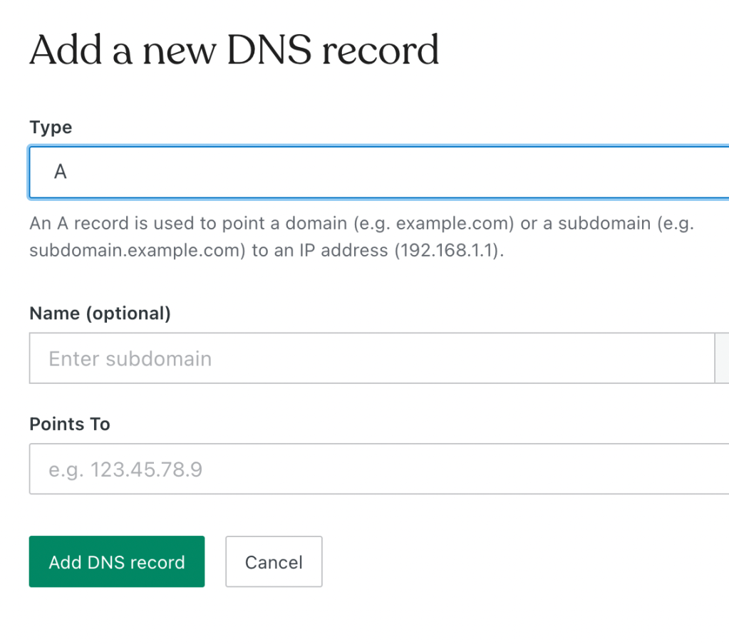 Add a new DNS Record by choosing a type.