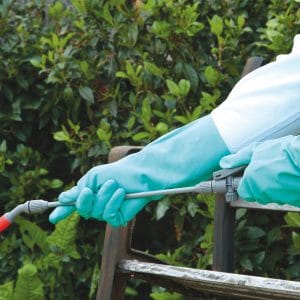 Hands wearing green SHOWA 730 Spraymaster gloves using spraying device with leafy bush in background