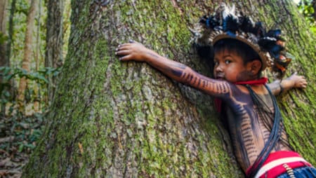 enfant protégeant un arbre