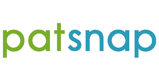 Patsnap logo