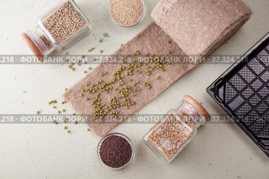 Preparation for planting seeds in the ground. Cereal seeds on bed of flax