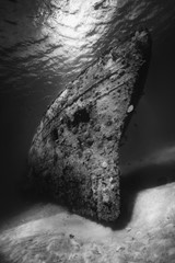 Ship Wreck - Barbados