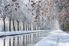 Snowy Walk Along the Canal