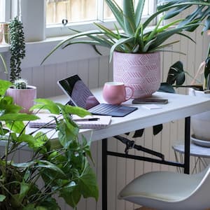 A home office with lots of potted plants