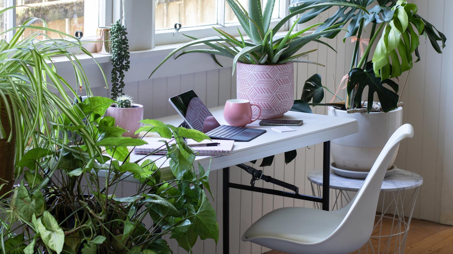 A home office with lots of potted plants