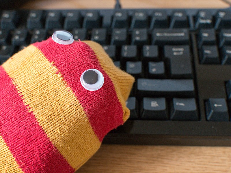 File:Sock puppet and keyboard.jpg