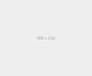 ads300x250