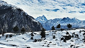 Auli, India.jpg