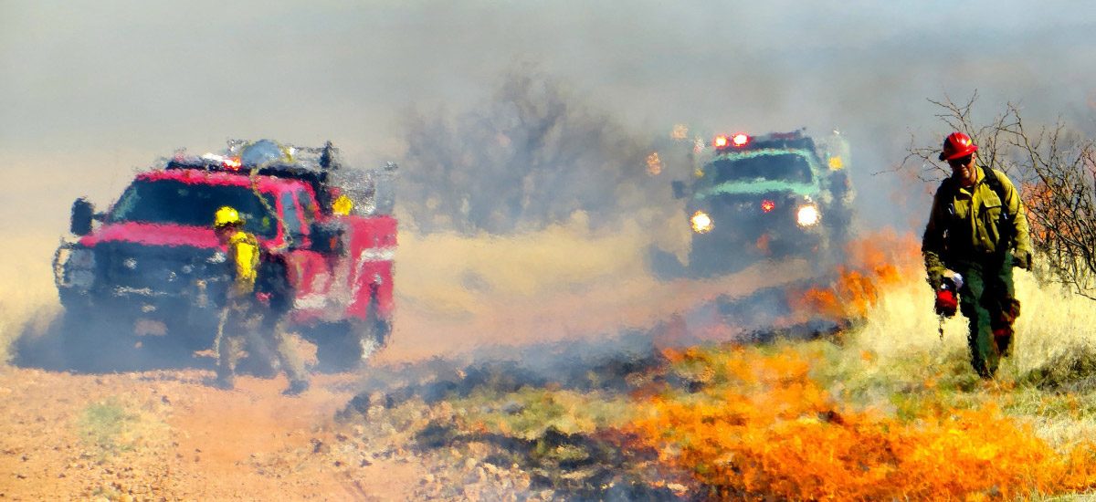 Red and green Fire Apparatus Trucks in action