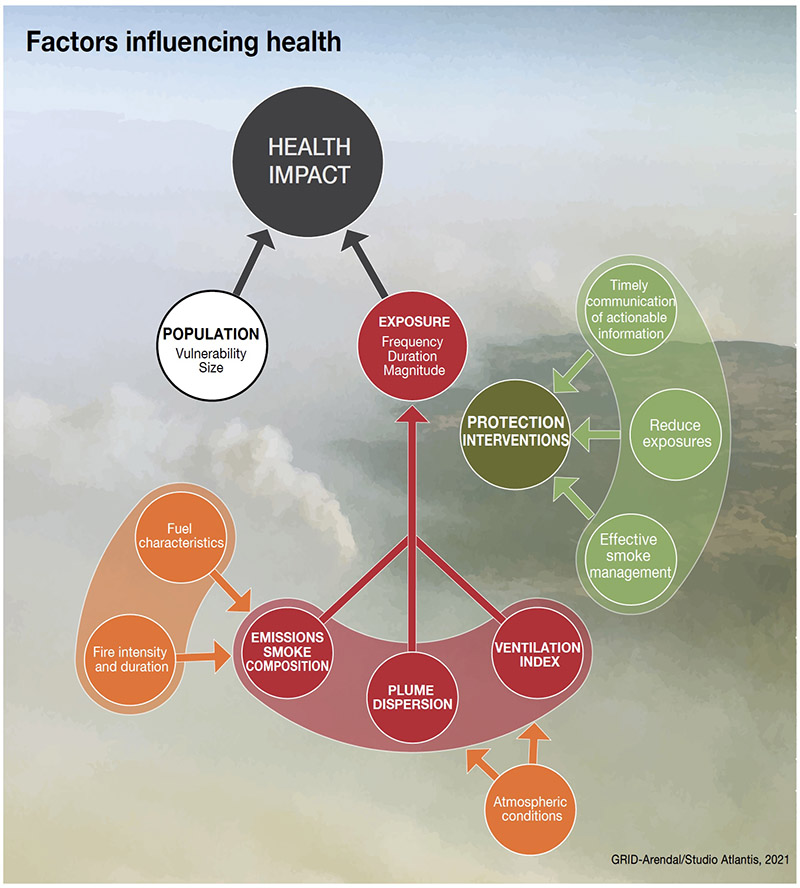 Wildfire factors influencing health