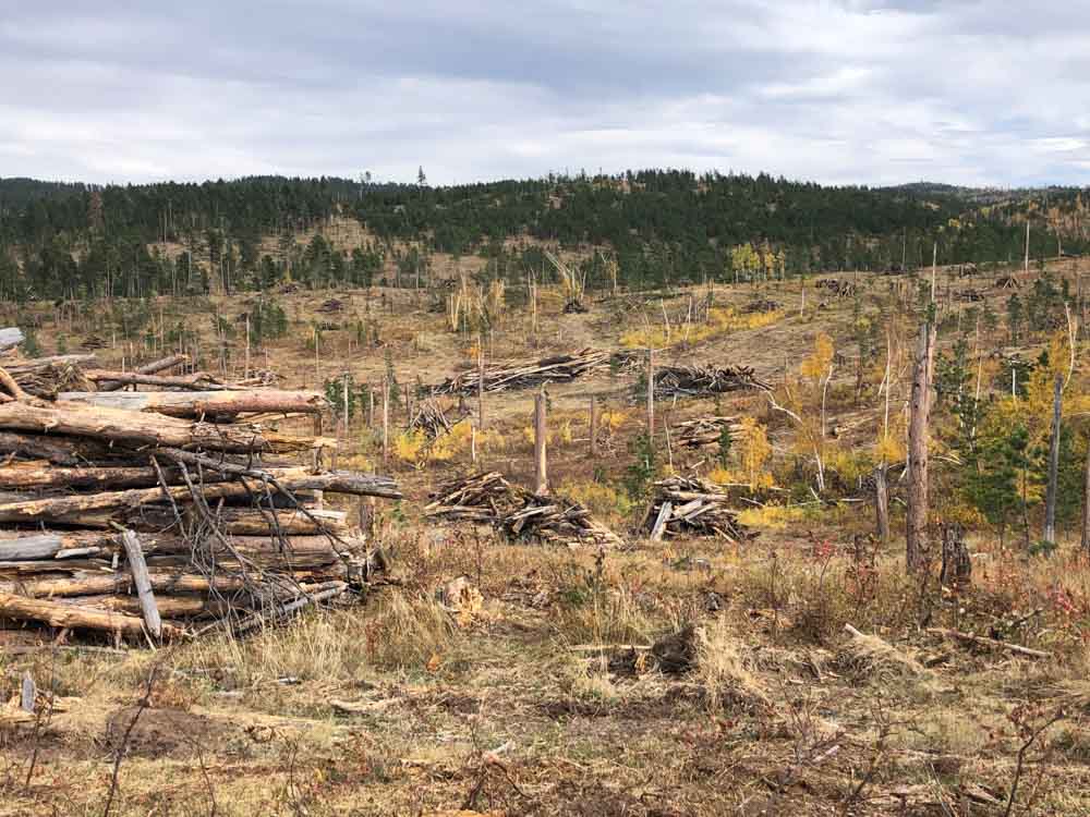 Spearfish Canyon tornado fuels piles burning fire