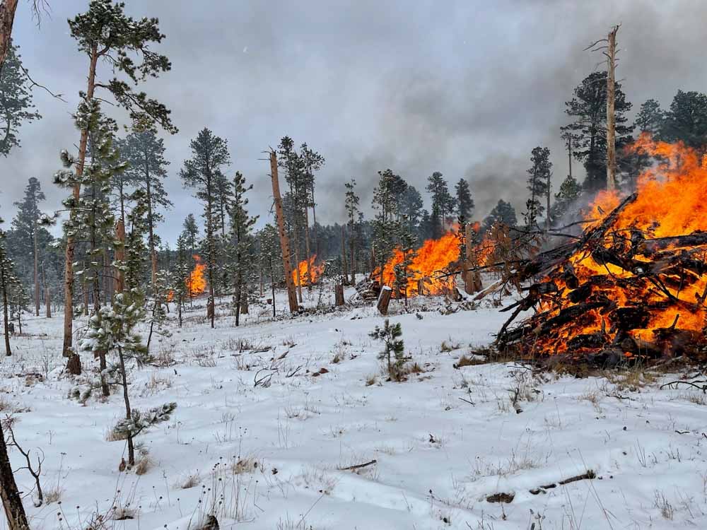 Spearfish Canyon tornado fuels piles burning fire