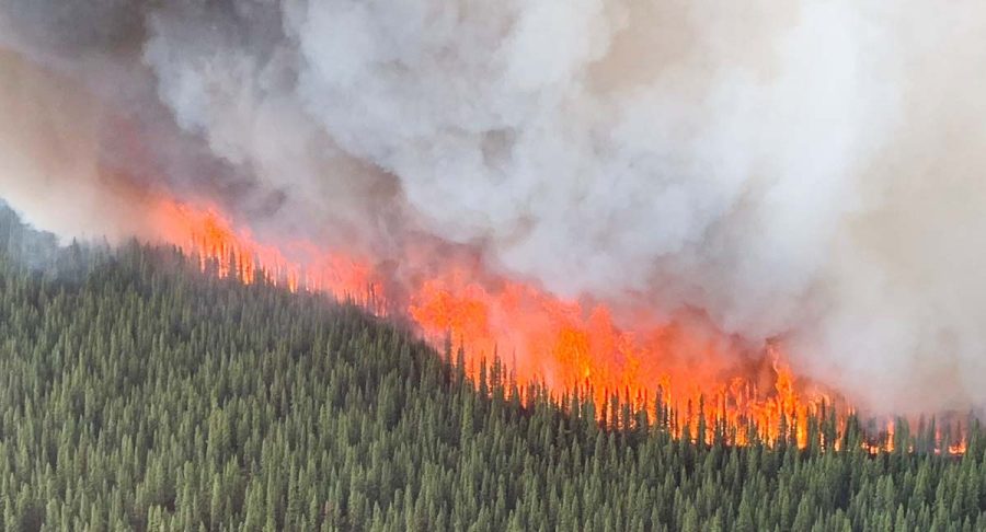 Swan Lake Fire Alaska