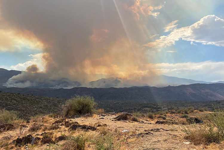 Tiger Fire Arizona