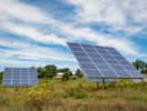 solar panel farm