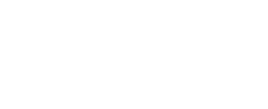 American Public University